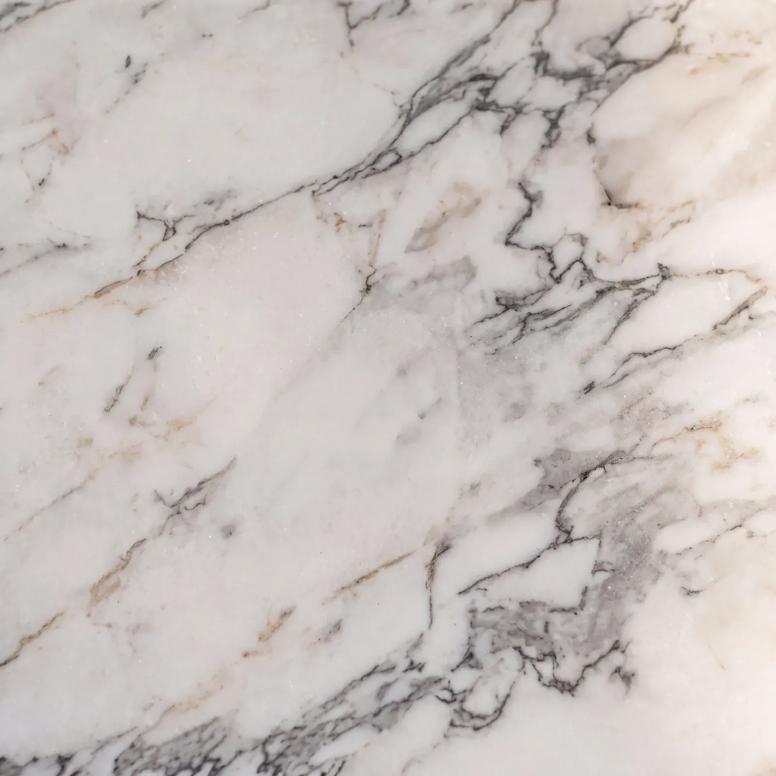 Honed calacatta marble sample