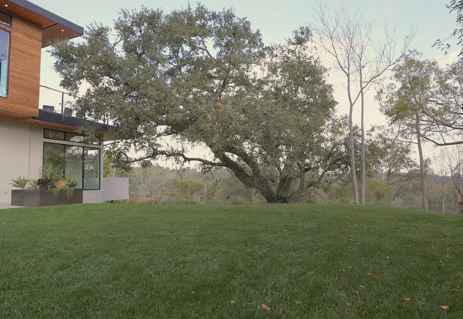 Before: Exterior remodel in Westlake Hills, Austin, TX with an open back lawn under a live oak
