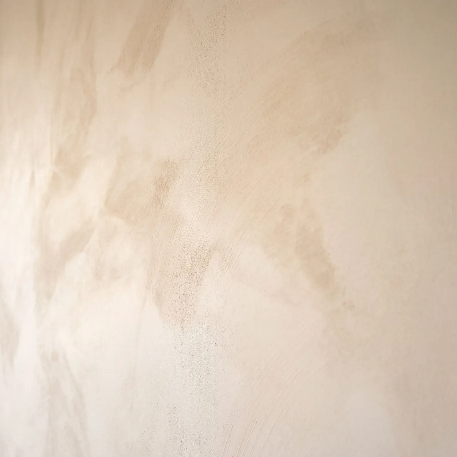 Color Atelier limewash sample