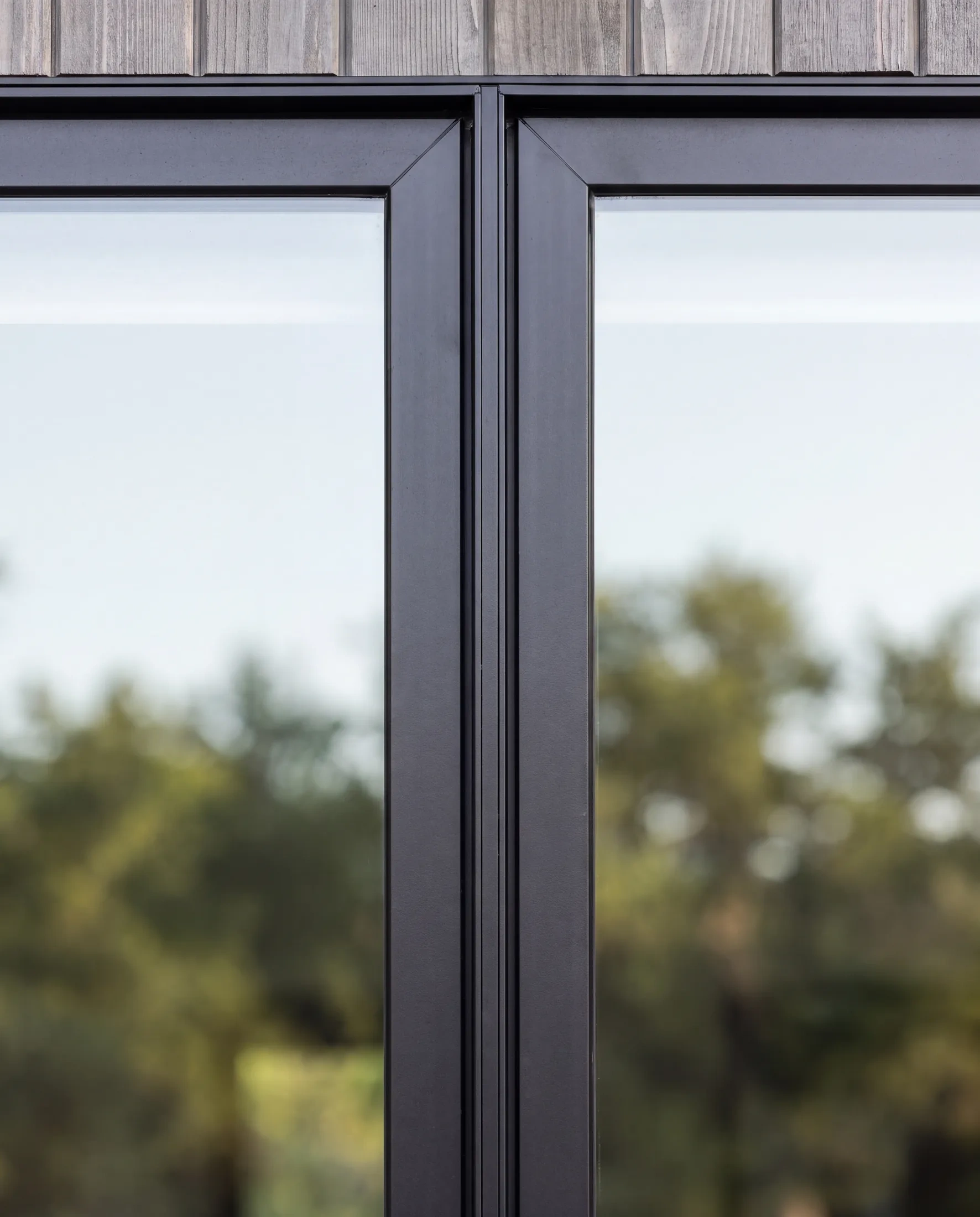 Black steel-framed windows sample